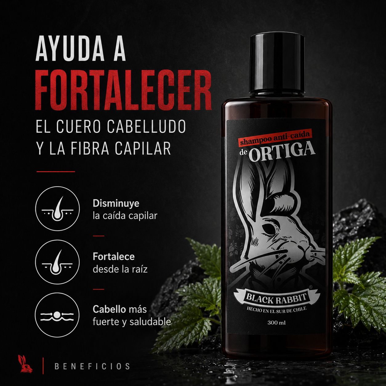 Shampoo Anti-Caída de Ortiga 300 ml