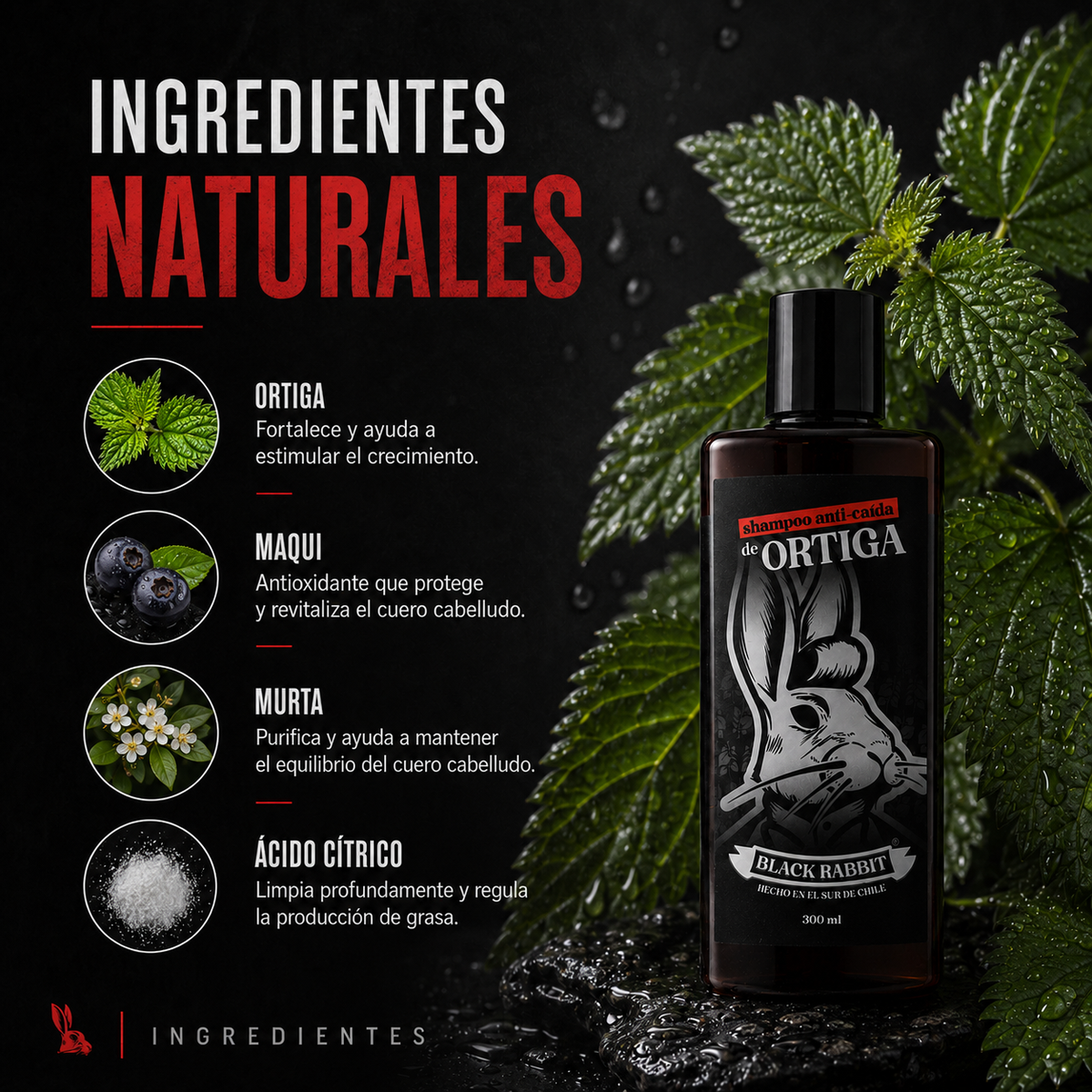 Shampoo Anti-Caída de Ortiga 300 ml