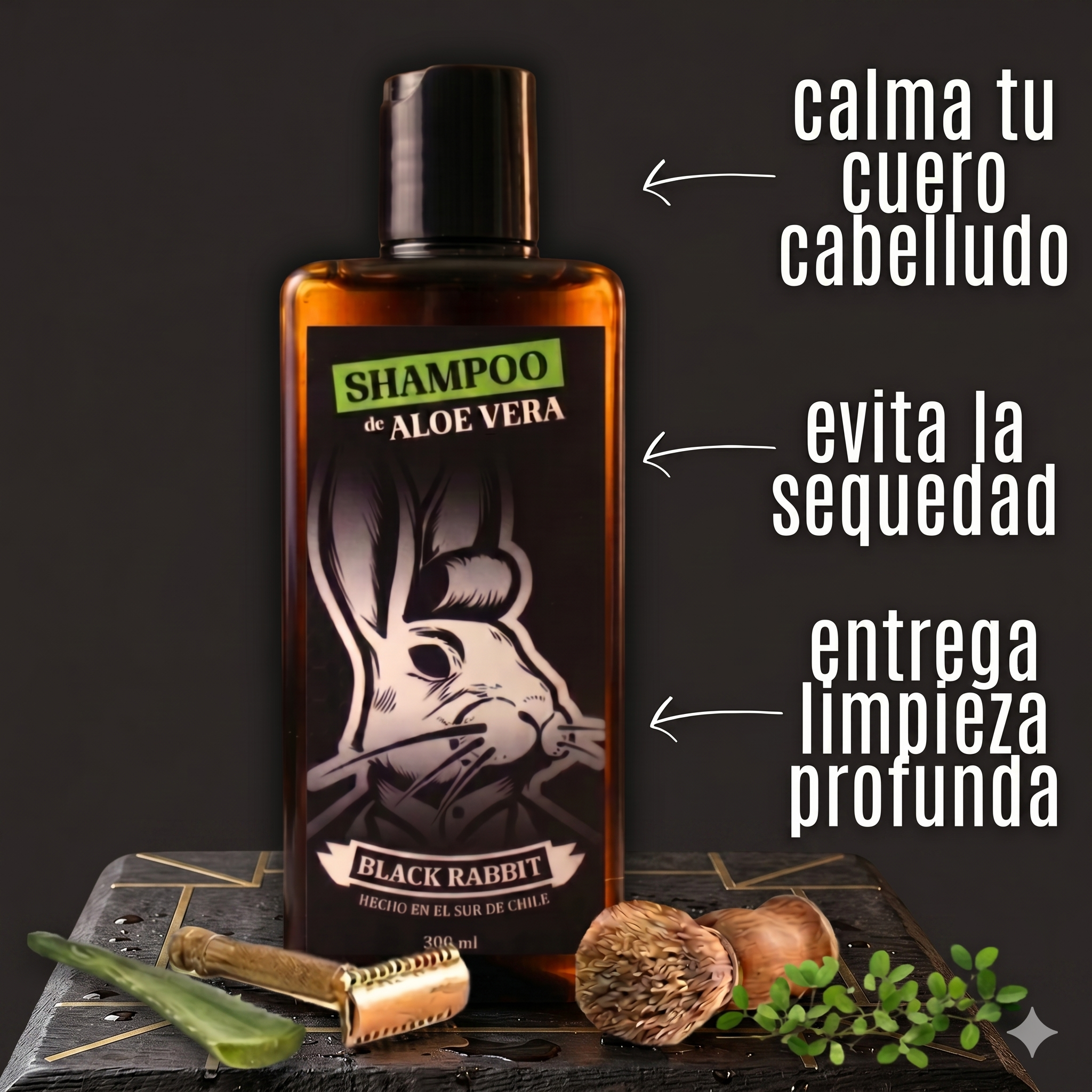 Dúo Shampoo Adiós Suciedad & Hola Peinado Perfecto