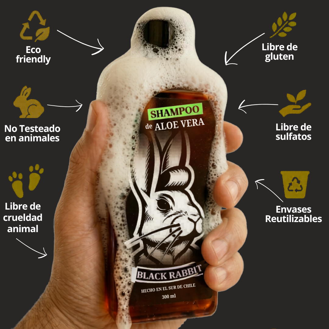 Dúo Shampoo Adiós Suciedad & Hola Peinado Perfecto